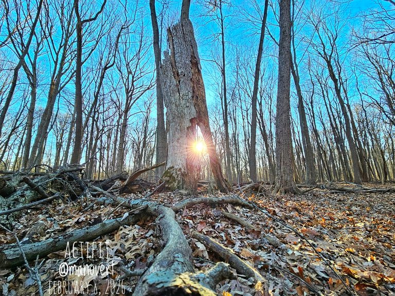 The sun is back! - My Actifit Report Card: March 8 2026