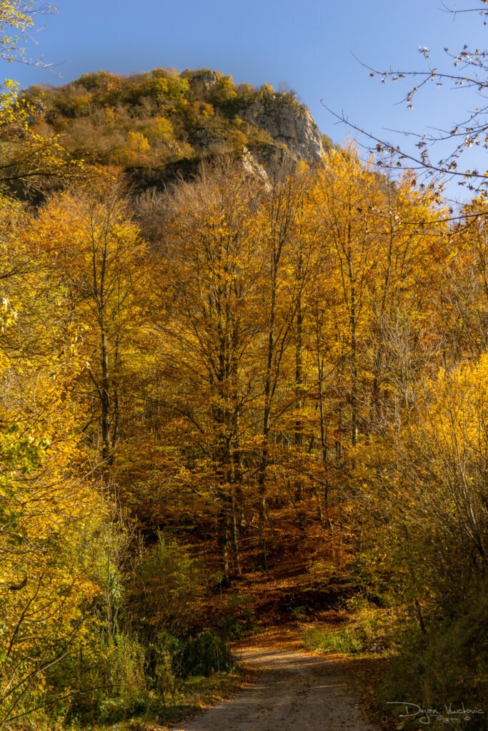 Vinatovača, Serbia