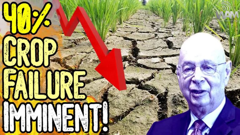 GLOBAL RECESSION! - 40% Crop Failure IMMINENT! - May Cause FAMINE - Energy Crisis Worsens