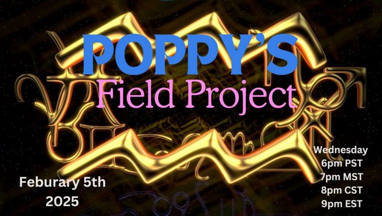 02/05/2025 Poppy's Field Project