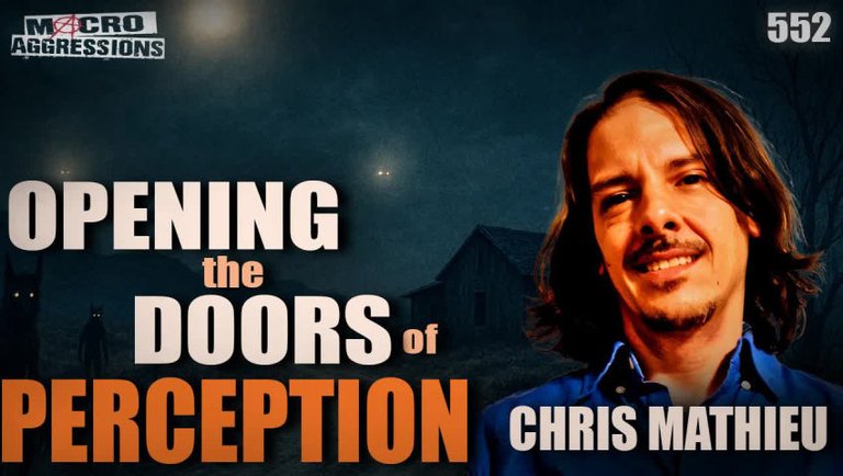 #553: Opening The Doors Of Perception| Chris Mathieu