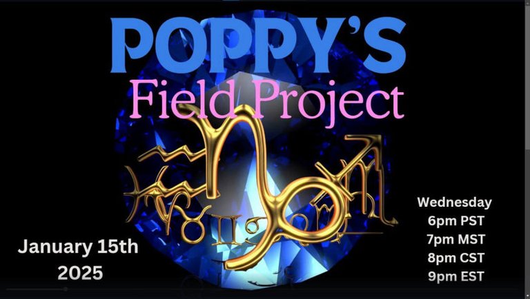 01/15/2025 Poppy's Field Project