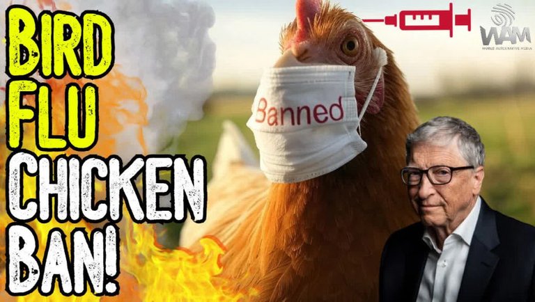 BREAKING: BIRD FLU CHICKEN BAN! - New Mandates Come In As Trump Pulls Out Of WHO!