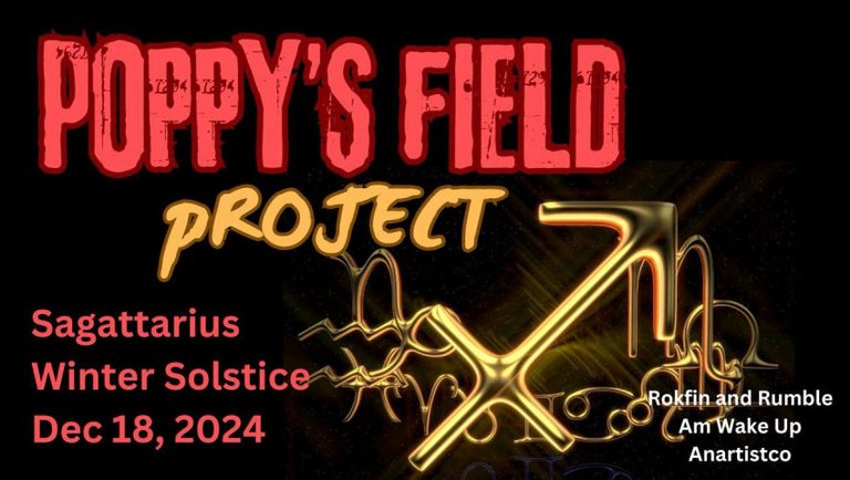 12/18/2024 Poppy's Field Project