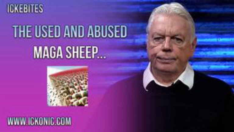 The Used & Abused MAGA Sheep - David Icke