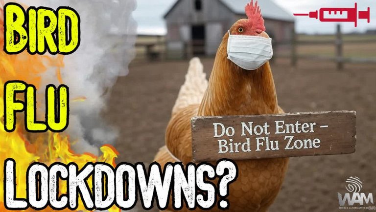 BIRD FLU LOCKDOWNS? - Establishment Preps Sheep For MASSIVE Bird Flu Plandemic Mutation Hoax!