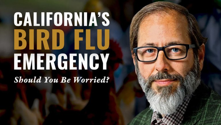 California's Bird Flu Emergency: Should You Be Worried?