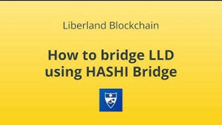 How to Bridge LLD using HASHI Bridge