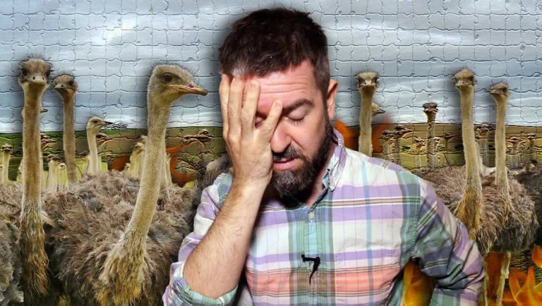 DEVASTATING NEWS After Federal Judge Rules CULL Of NEARLY 400 OSTRICHES CAN PROCEED!!!