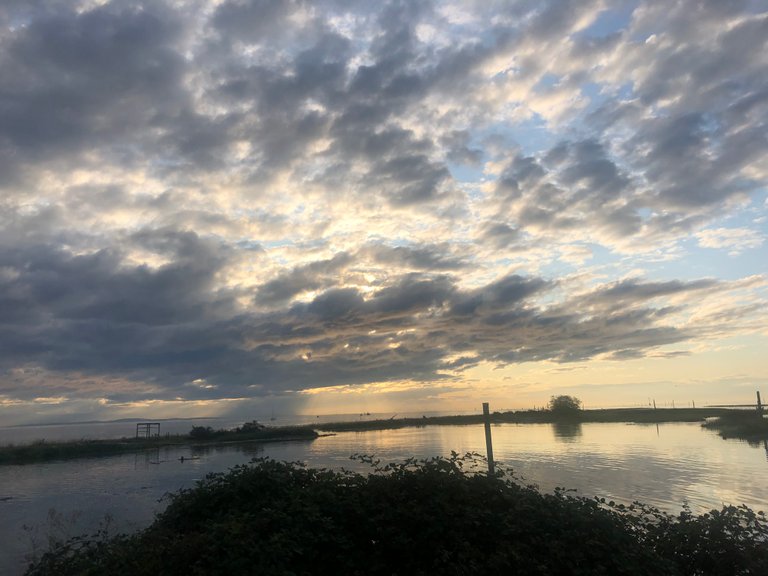 The view from the Steveston area