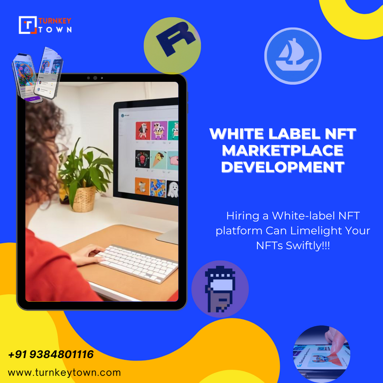 White Label Nft Marketplace Development (5).png