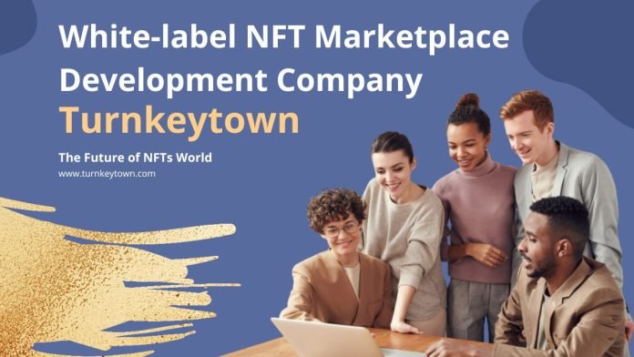 White-label-NFT-Marketplace-Development-Company-1-696x392.jpg