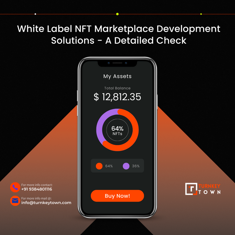 White Label NFT Marketplace Development.png