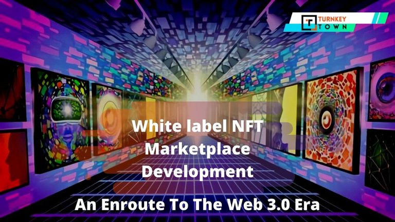 white label nft blog.jpg