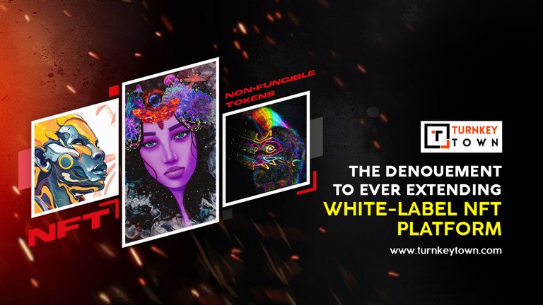 The Denouement To Ever Extending White-label NFT platform 1200 x 675 copy.jpg