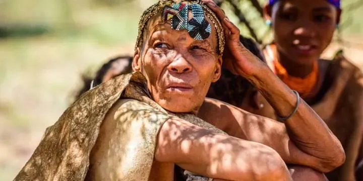 
The San peoples (also Saan), or Bushmen, are the members of the indigenous hunter-gatherer cultures of southern Africa