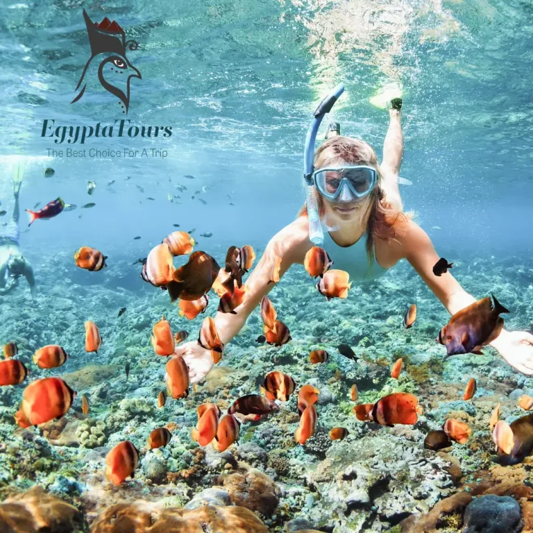snorkeling in hurghada-Egyptatours.png