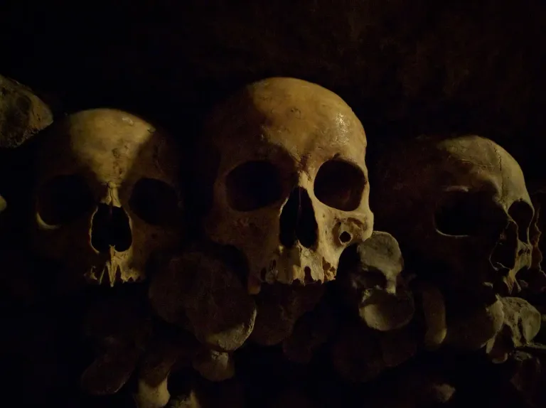 skull-2834354_1280.jpg