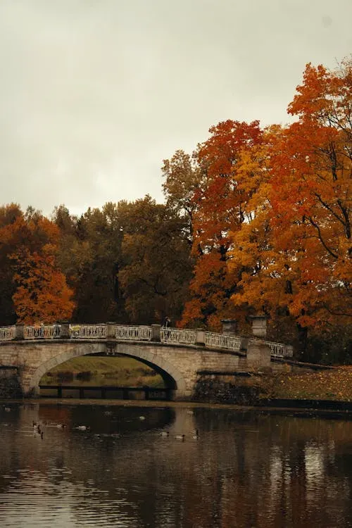 Photo by Dinara Guseinova: https://www.pexels.com/photo/scenic-stone-bridge-in-autumn-foliage-29065862/