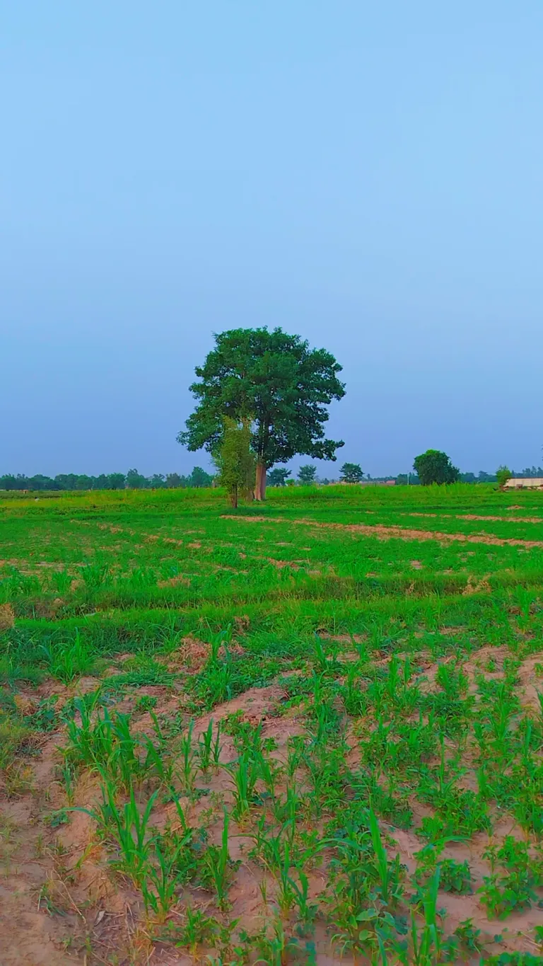 Beautiful view of the my village 