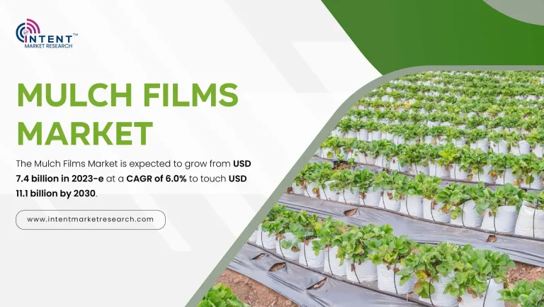 Mulch Films Market-01.jpg