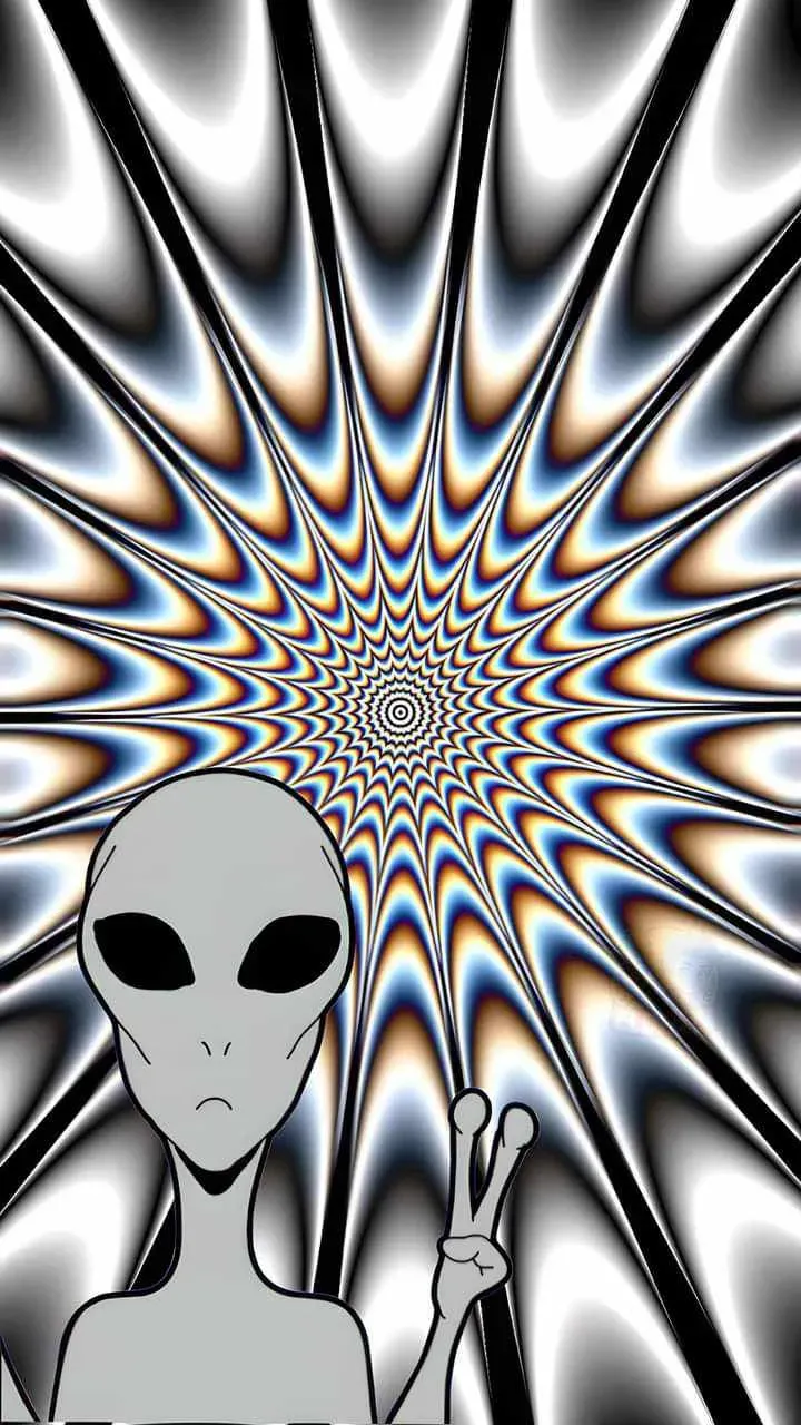 479547592_978141530939631_6004009684354500624_n.jpg