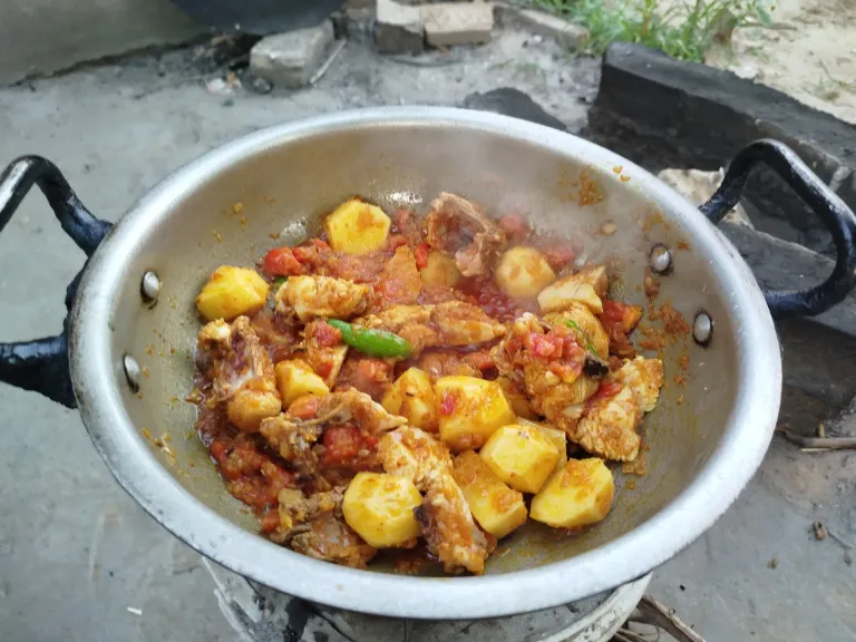 Potato and chicken curry