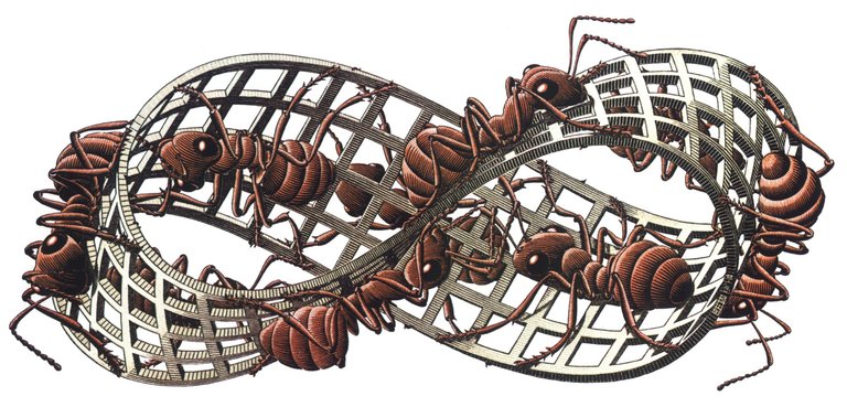 Escher Mobius Strip