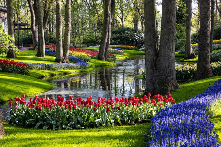 Keukenhof 2