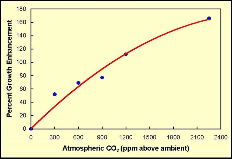 Co2 and Plant Growth