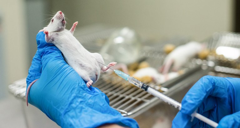 One more step towards the end of animal testing/Un paso más hacia el ...