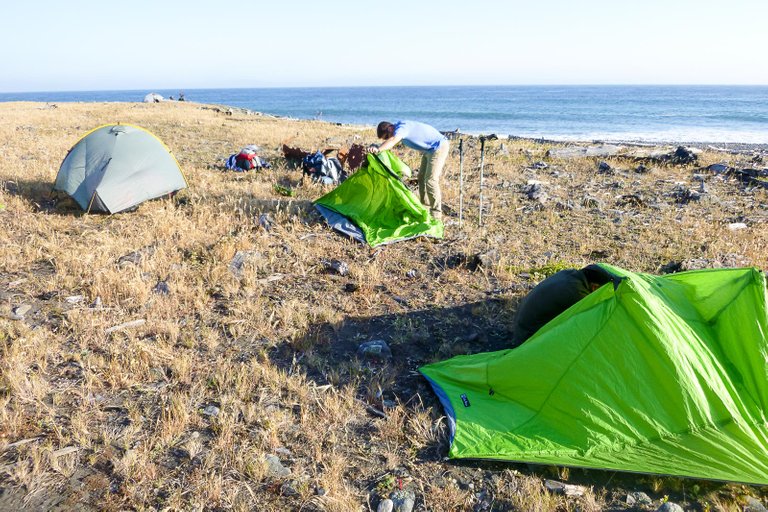 A suitable camp location in the Lost Coast.