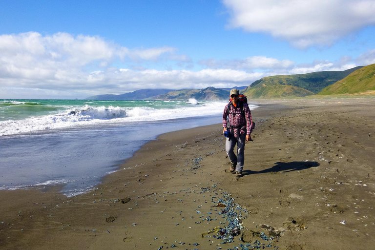 Hiking along the coast