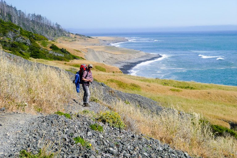 Meandering On The Trail