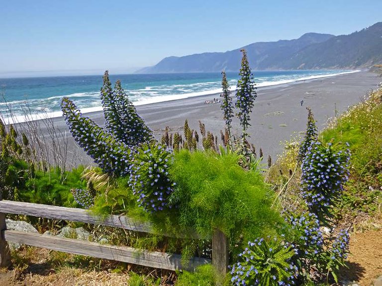 Lost coast adventure: Northbound Trail from Shelter Cove