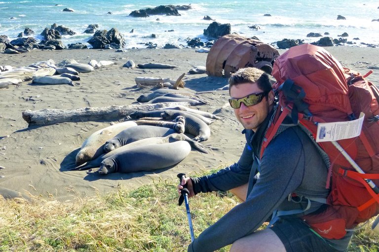 Lost Coast Sea Lions