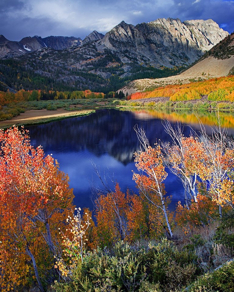 Autumn displays of colorful aspens turning to various bright colors in North Lake. The area is a photographer's heaven.