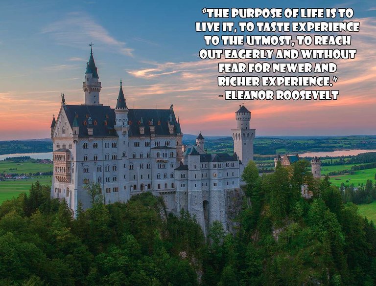 Adventure Quotes: “The purpose of life is to live it, to taste experience to the utmost, to reach out eagerly and without fear for newer and richer experience.” ― Eleanor Roosevelt