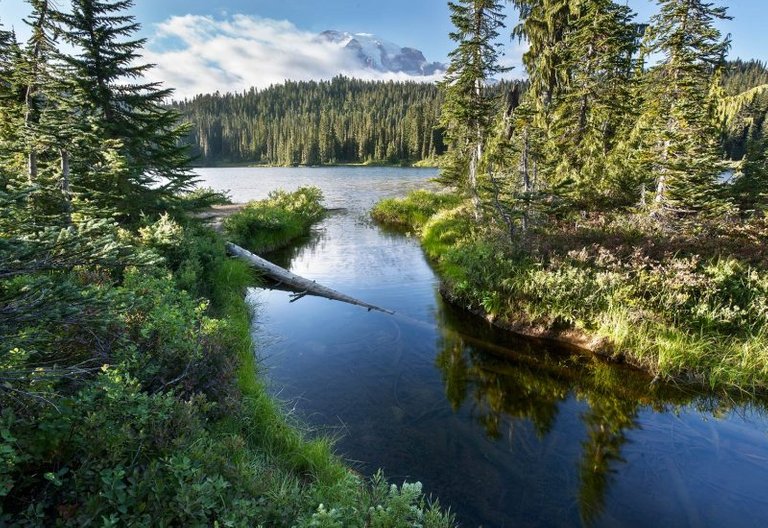 A flowing into Reflection Lake