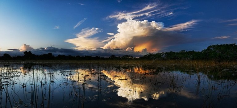 miami tours everglades