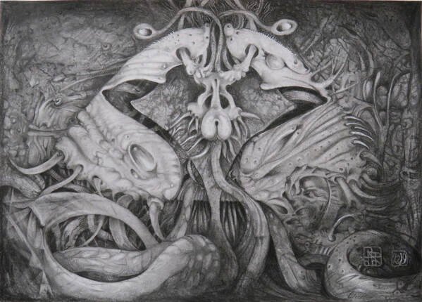 EMRAKUL - graphite and charcoal on paper - 2019 - 42 x 29.5 cm