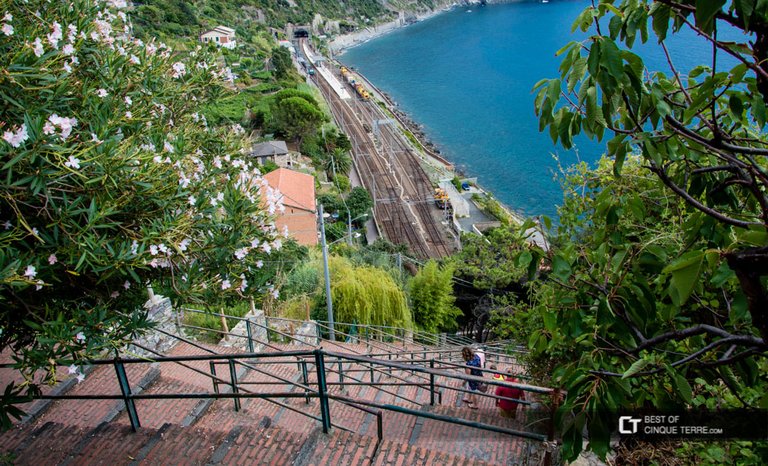 https://www.bestofcinqueterre.com/en/corniglia