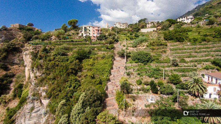 https://www.bestofcinqueterre.com/en/corniglia