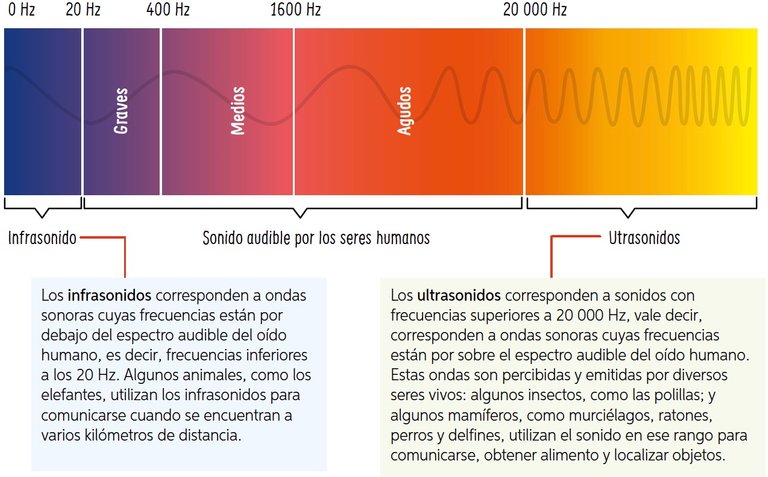 ESPECTRO DE FRECUENCIAS DE SONIDO