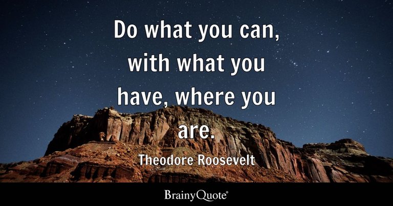 Do what you can, with what you have, where you are.  Theodore Roosevelt