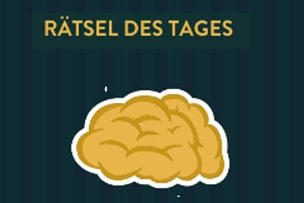 brain