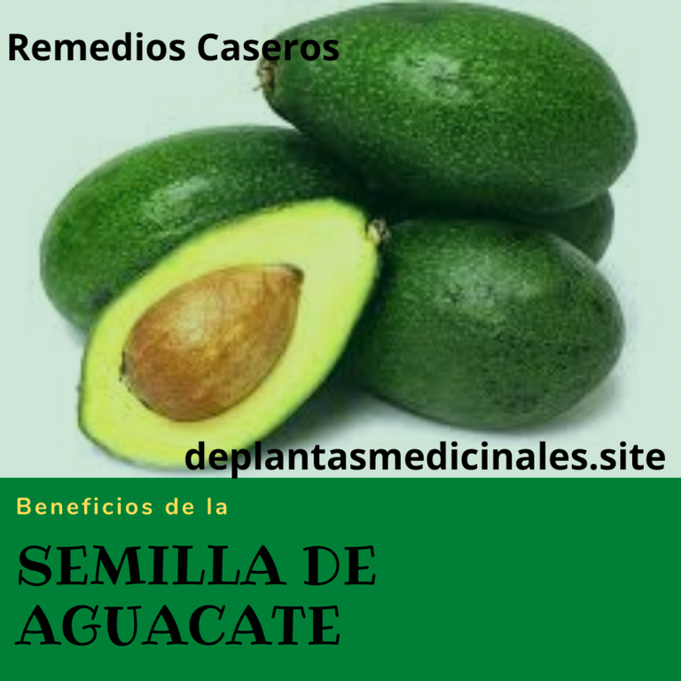 Semilla de aguacate