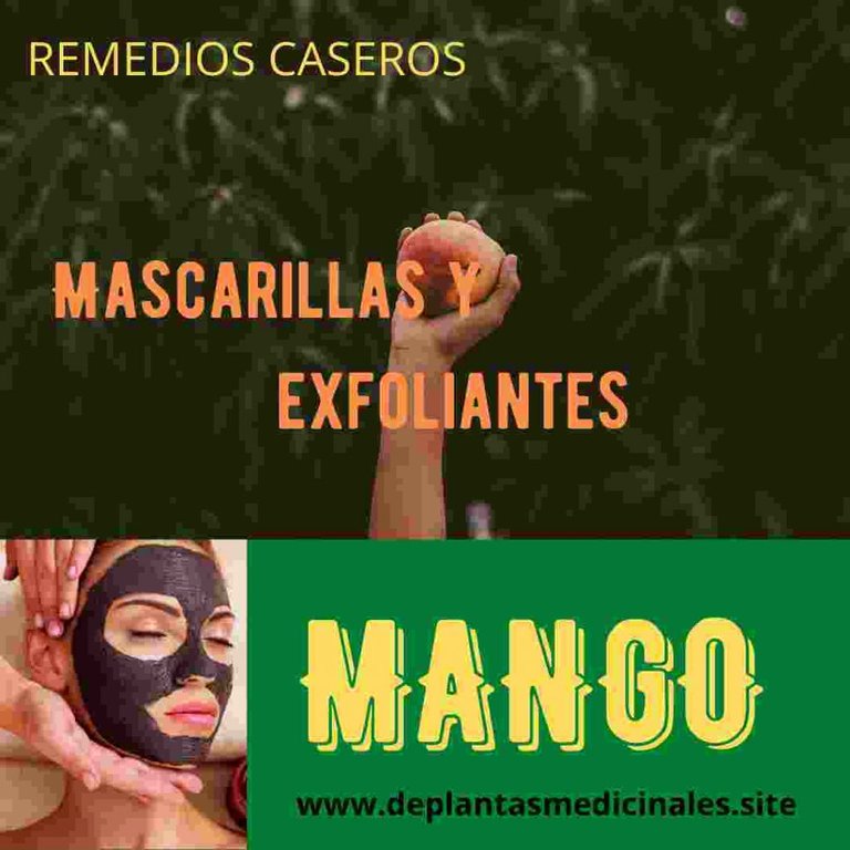 Mascarilla de mango