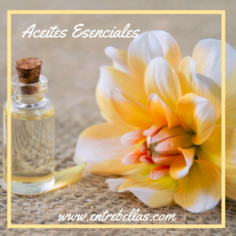 Aceites esenciales en nuestra belleza