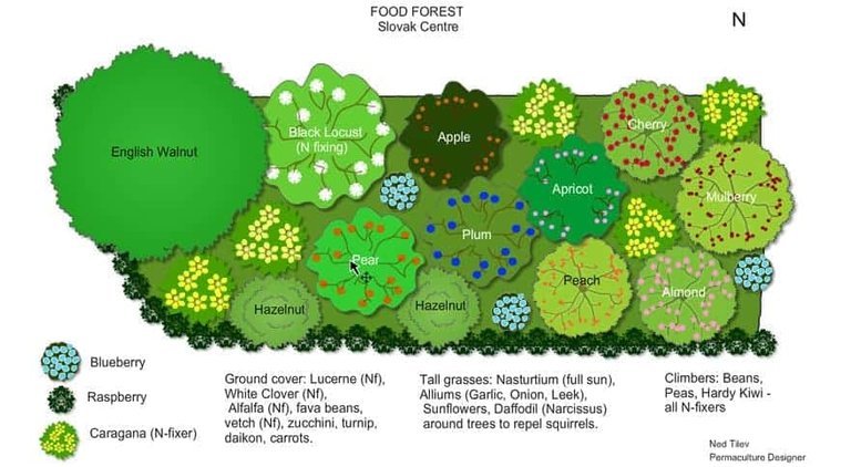 permaculture